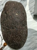 橄榄形石铁陨石